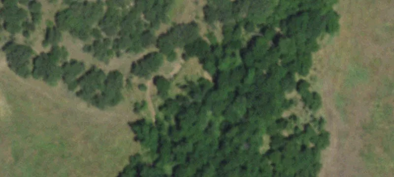 Bellevue Farm and Ranch Land