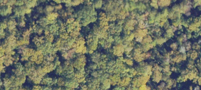 Prime Road Frontage Land