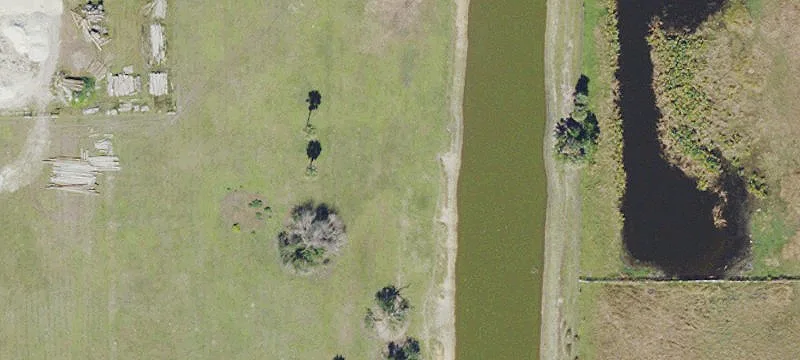 Old Florida Land with Potential