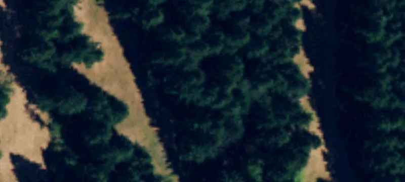 Land or Vacant Lot