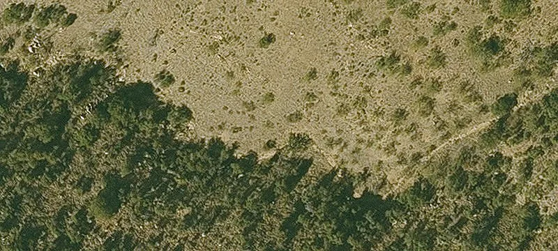 Land Surrounded by Forest