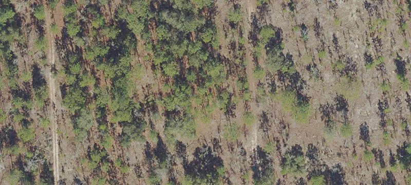 Land in Growing Hawthorne Area