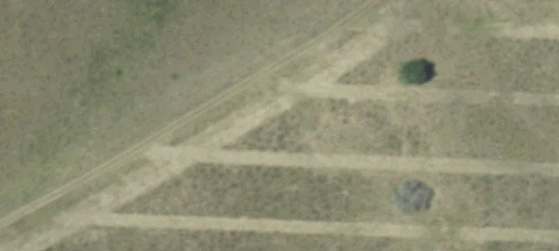 Prime Farm & Ranch Property