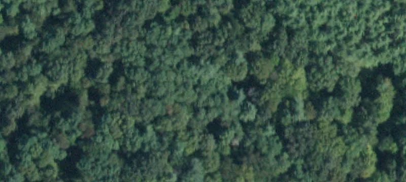 175 Acres of Undisturbed Land