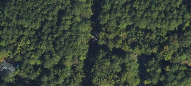 Chapel Hill Wooded Land Parcel