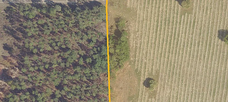 Residential Estate Lot in Weirsdaile