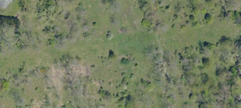 24.1 Acres of Prime Land
