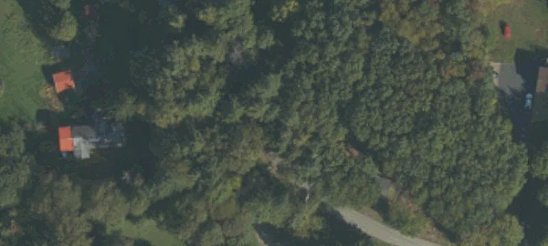 Vacant Wooded Lot in Blacklick