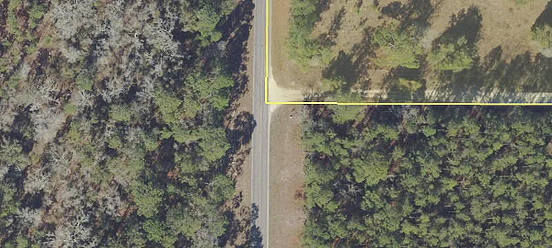 Levy County Vacant Land