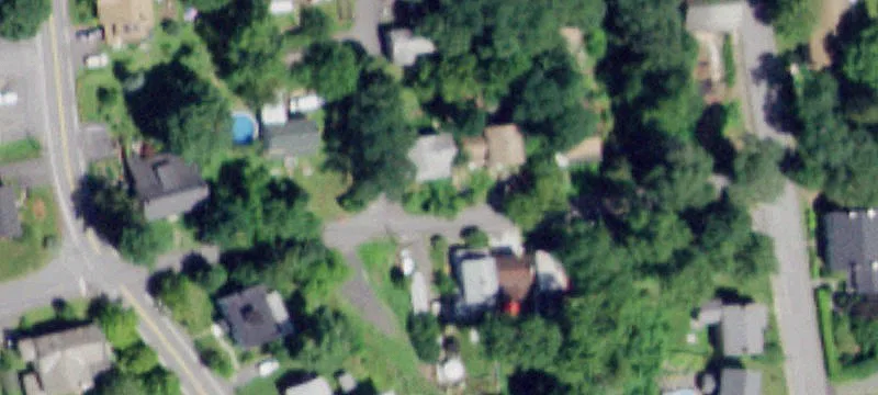 40 Acres Wooded Land