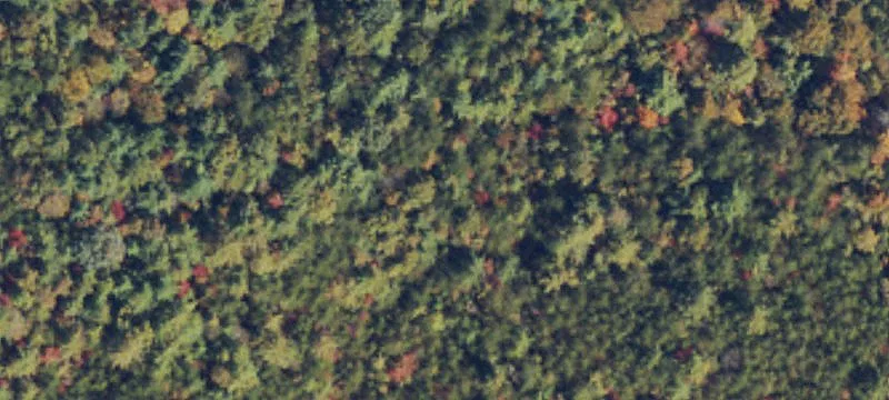 Majestic Mountain Land Opportunity
