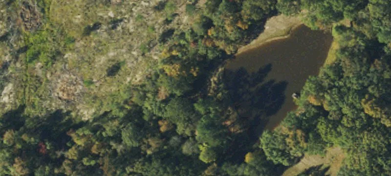 Wooded Land For Residential Development