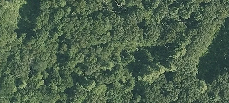 Dougall Downs: Exceptional Land Tract