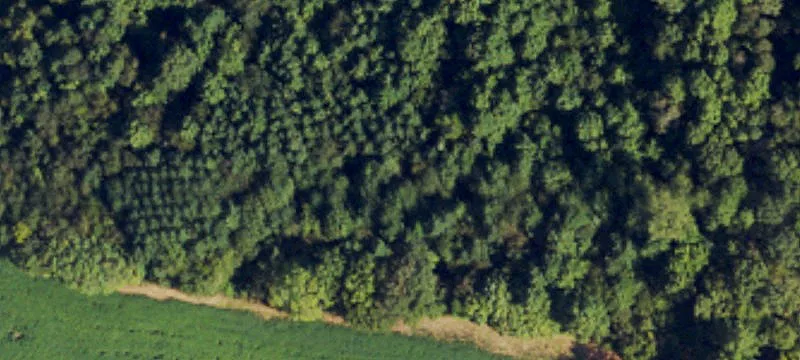 Yadkin County Mini-Farm Home Lot