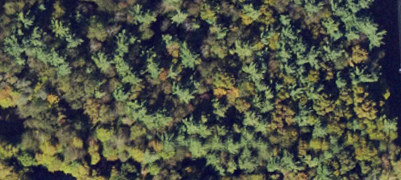 Unrestricted Land Near Boone