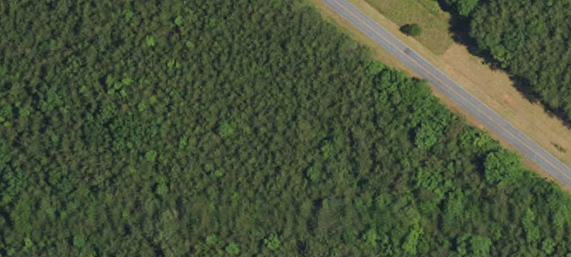 8 Acres on Quiet Street