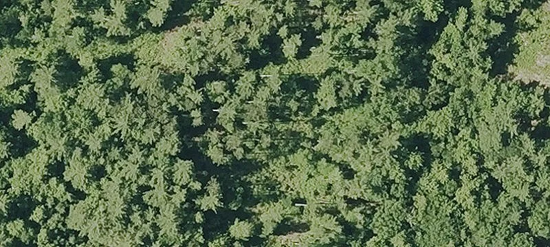 Sutton Land with Highway Access