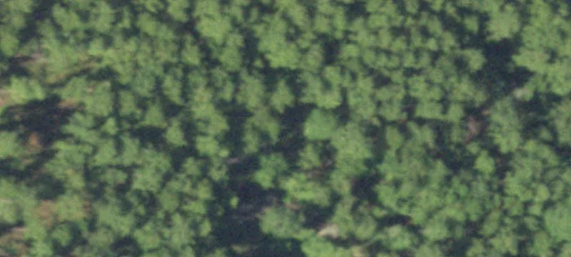 Rayburn Country Acreage with Water Access
