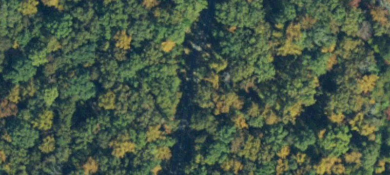 Wooded Lot Near Rutherfordton Amenities