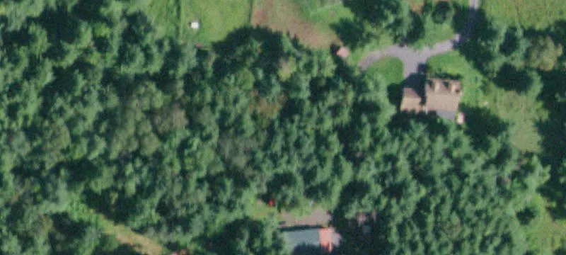 Two Lots with Road Frontage
