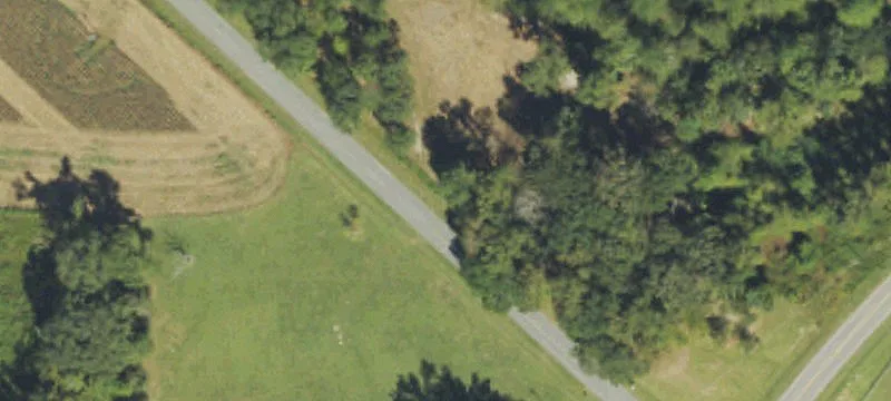 Pender County Recreational Hunting Land