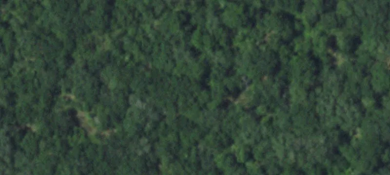 Van Vleck Land Opportunity