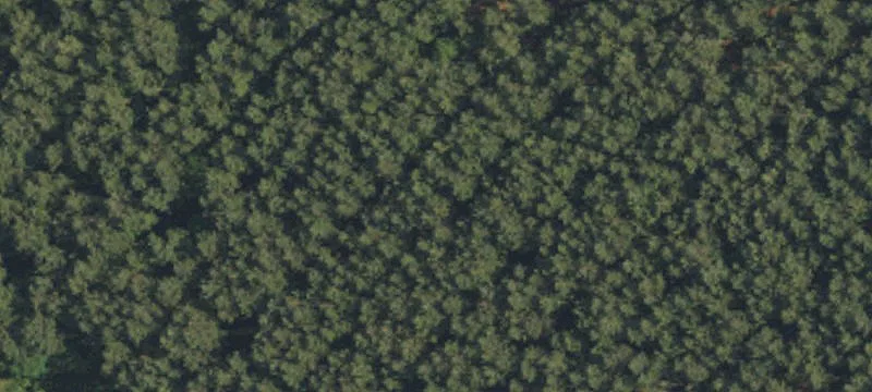 Rolling Land with Wooded Areas