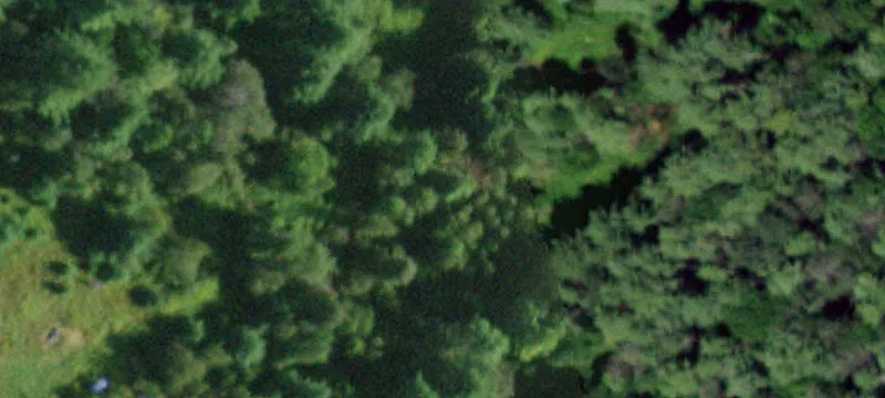 Three Acre Wooded Parcel