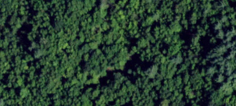 Petersburgh, NY Wooded Lot