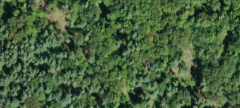 Private Land Near Windham Resort