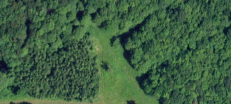 19.4 Acres Estate Setting Land
