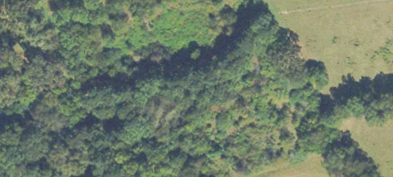 Highway 78 Road Land Opportunity