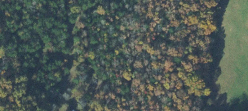 38.6 Acres of Farmland