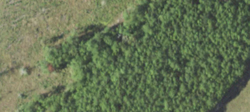 Rayburn Country Land with Water Access