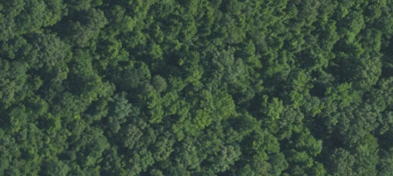 Land Parcel in Peaceful Setting