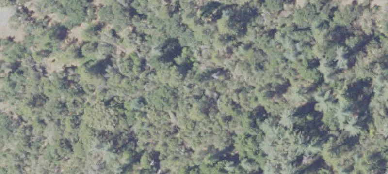 Private Land Near Town