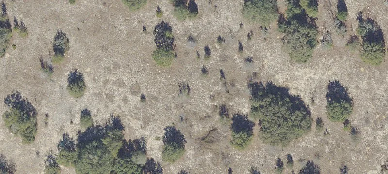 Vacant Lot Near Lake Margie