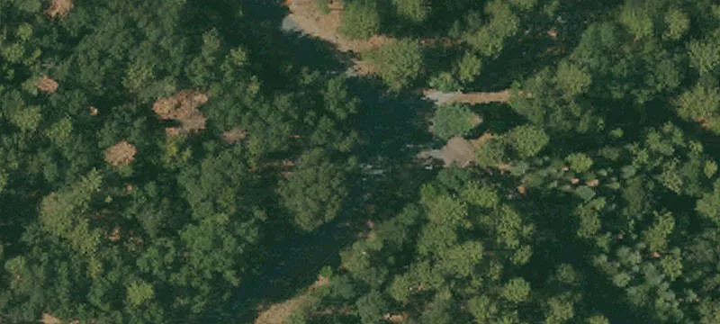 65.2 Acres with Ridge Views
