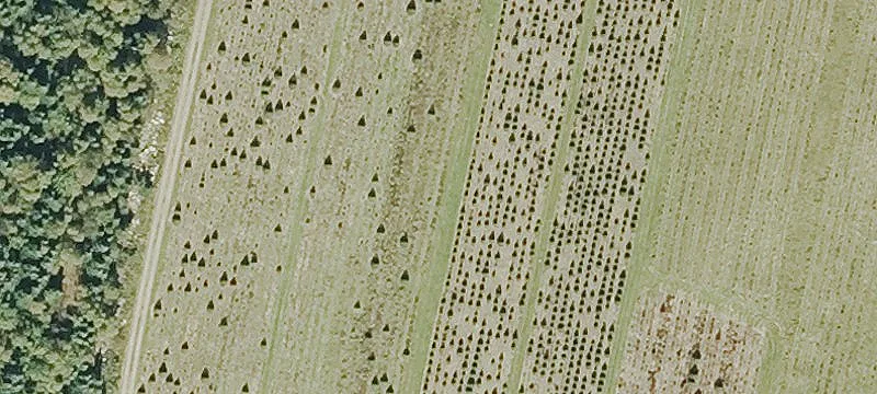 Colebrook Land For Sale