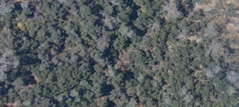 Foothills Acreage with Building Pad