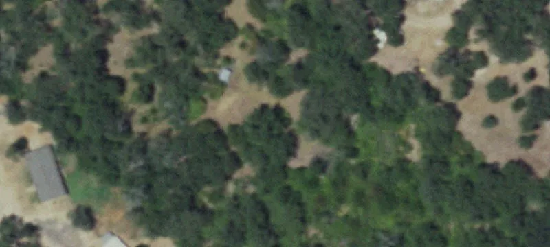 Wooded Lot in Bryan, Texas