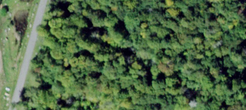 Land Near Mongaup Stream
