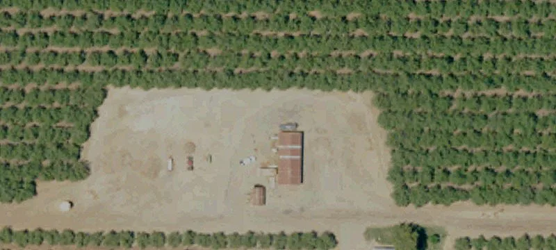 Established Almond Orchard with Homesite