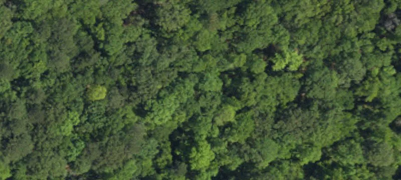 Wadmalaw Island Homesite Opportunity