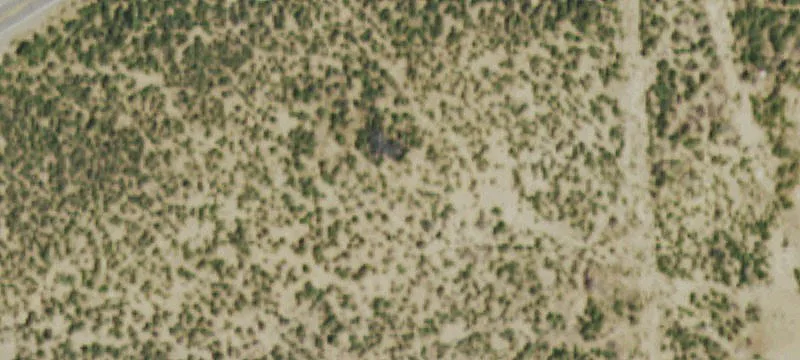 155 Acre Recreation and Hunting Parcel