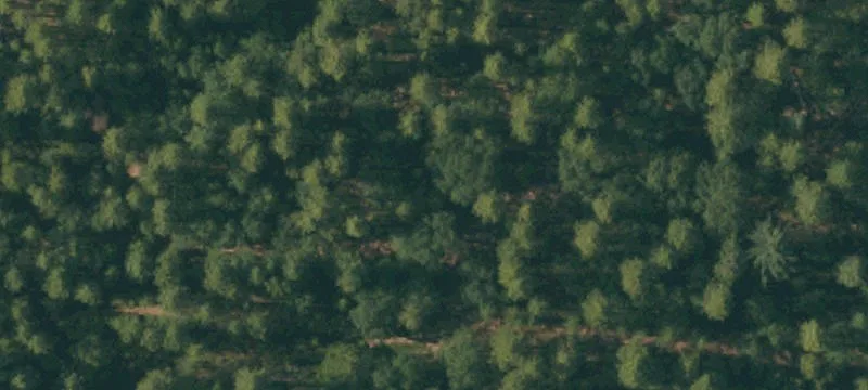 Mokelumne Hill 17-Acre Property