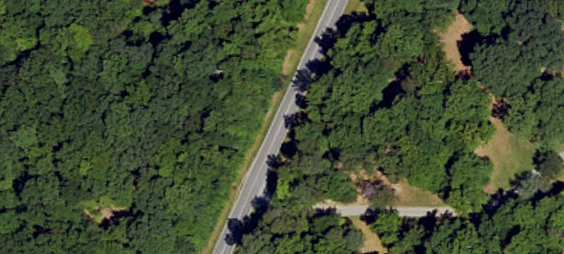 31+ Acres Package Deal