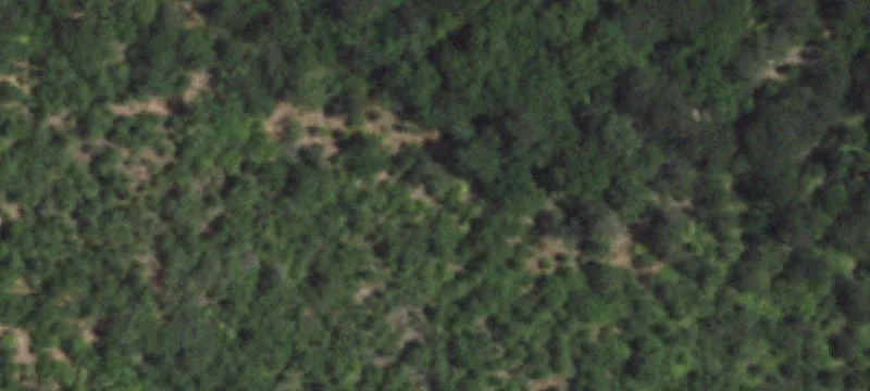 148+ Acres Development Opportunity, Taylor