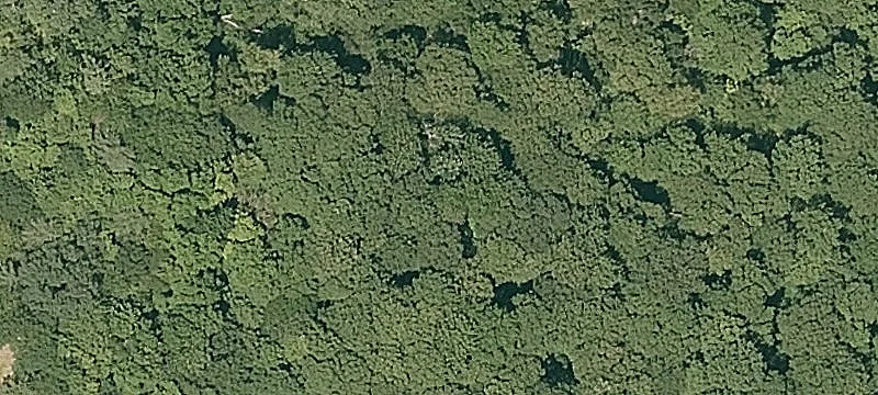 Hartland Specialty Property For Sale