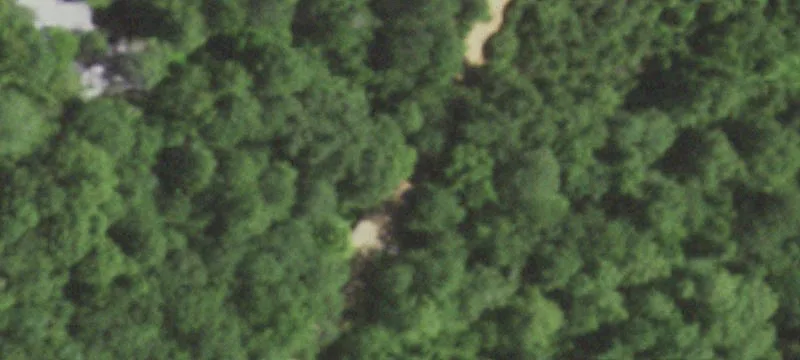 Marion County Timber Investment Tract